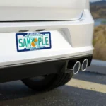 Belzona License Plate Frame